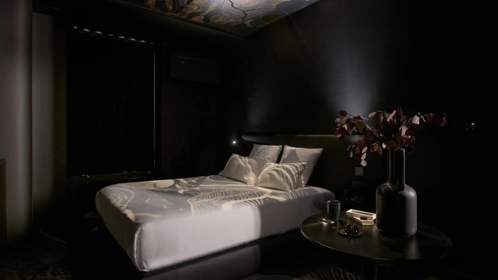 Mihotel Sala Lyon 0*,  Francja